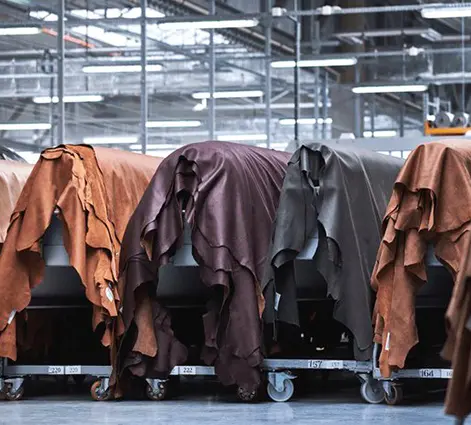 Top layer cowhide