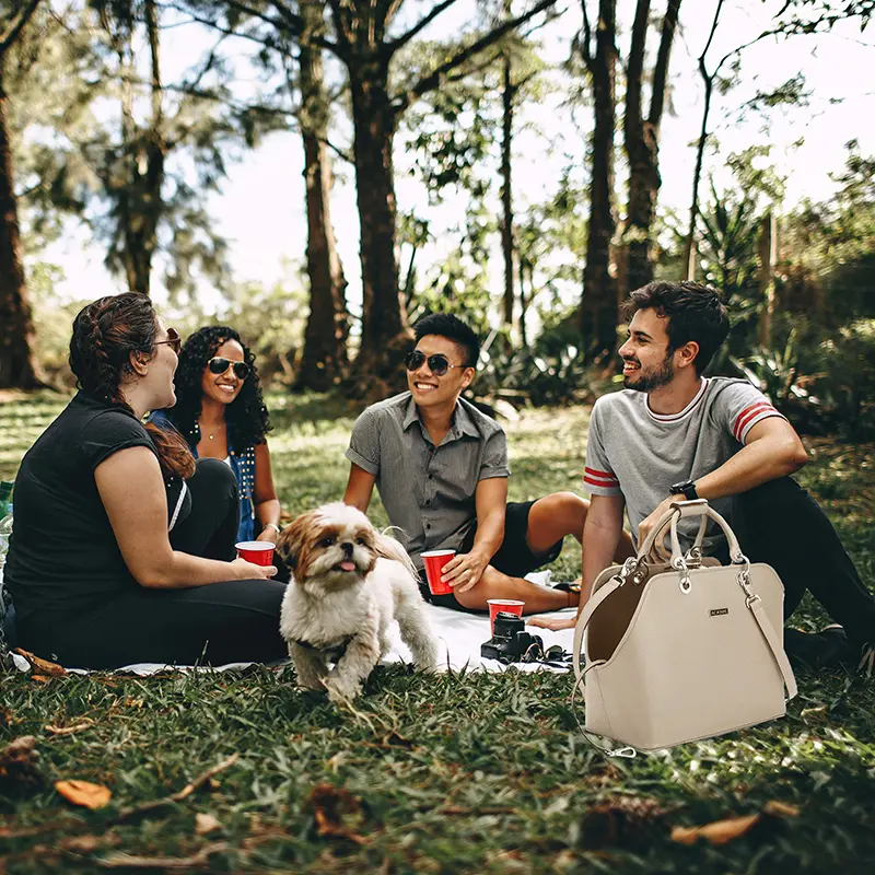 Genuine Leather Pet Carrier Bag Small Pet Bag